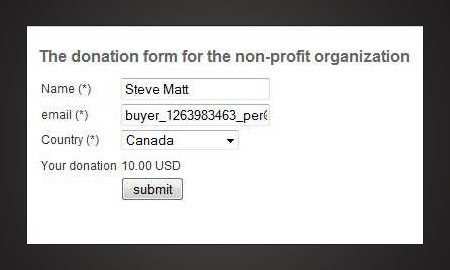 the custom PayPal form for Joomla! created with RSForm!Pro - frontend view